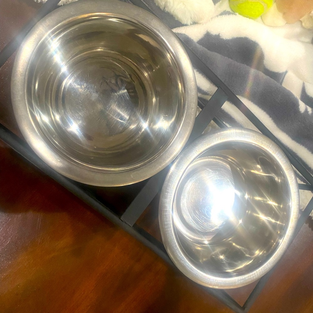 🔥Woof Dog Feeder - Picture 3 of 10
